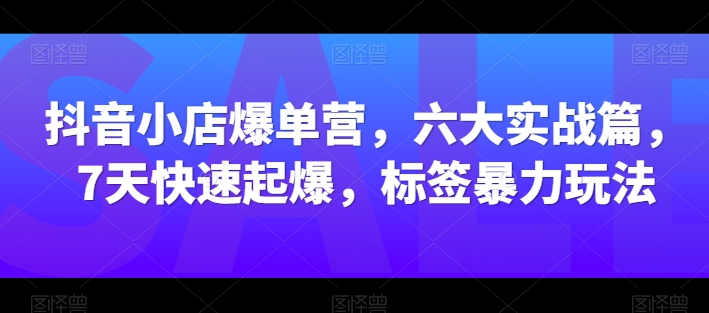 抖音小店爆单营，六大实战篇，7天快速起爆，标签暴力玩法-大齐资源站