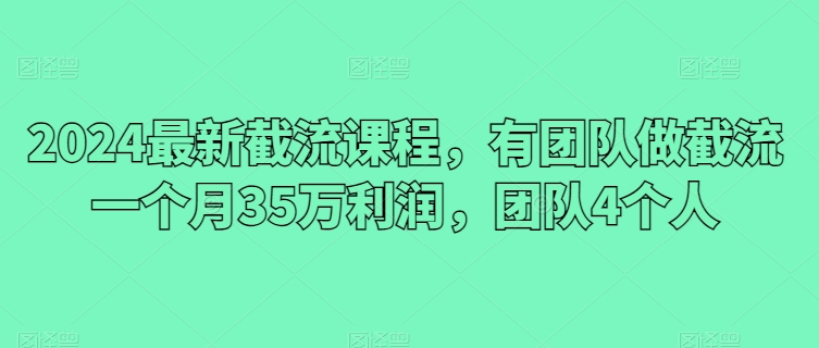 2024最新截流课程，有团队做截流一个月35万利润，团队4个人-大齐资源站