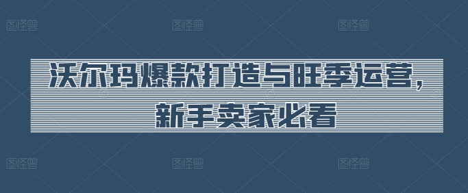 沃尔玛爆款打造与旺季运营，新手卖家必看-大齐资源站