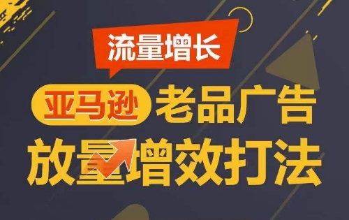 流量增长 亚马逊老品广告放量增效打法，短期内广告销量翻倍-大齐资源站