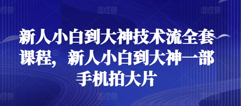 新人小白到大神技术流全套课程，新人小白到大神一部手机拍大片-大齐资源站