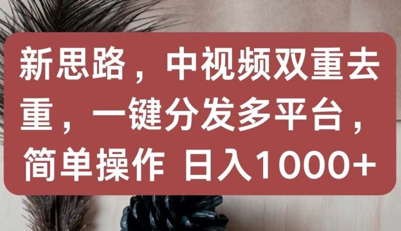 新思路，中视频双重去重，一键分发多平台，简单操作，日入1000+【揭秘】-大齐资源站