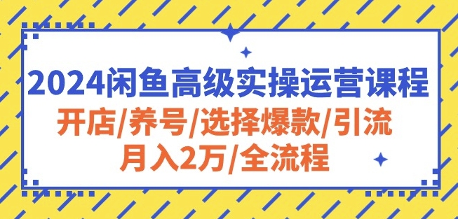 2024闲鱼高级实操运营课程：开店/养号/选择爆款/引流/月入2万/全流程-大齐资源站