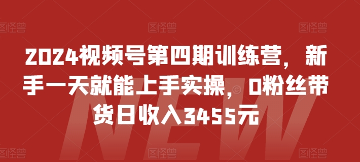 2024视频号第四期训练营，新手一天就能上手实操，0粉丝带货日收入3455元-大齐资源站