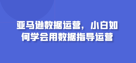 亚马逊数据运营，小白如何学会用数据指导运营-大齐资源站