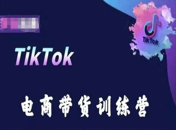 TikTok电商带货训练营，跟随时代潮流，跨境掘金-大齐资源站