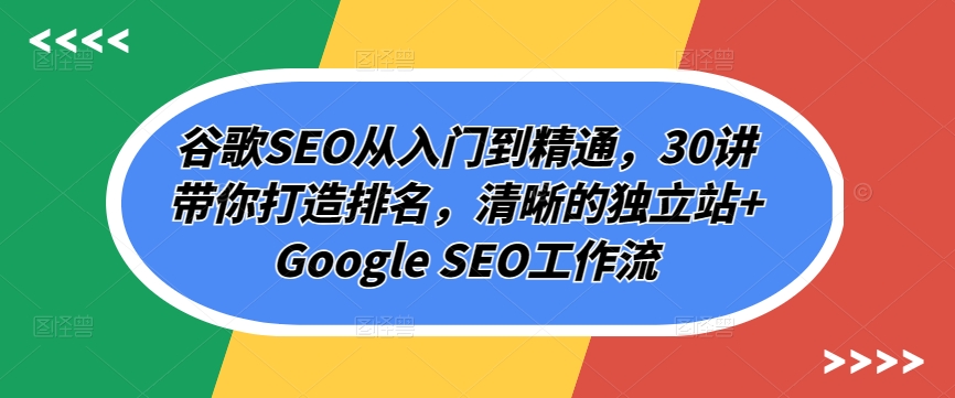 谷歌SEO从入门到精通，30讲带你打造排名，清晰的独立站+Google SEO工作流-大齐资源站