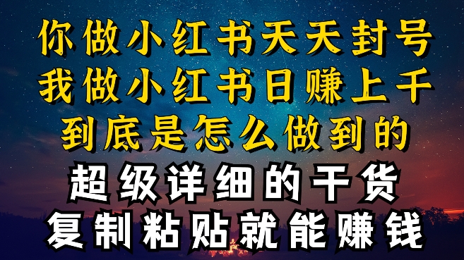 都知道小红书能引流私域变现，可为什么我能一天引流几十人变现上千，但你却频频封号违规被限流【揭秘】-大齐资源站