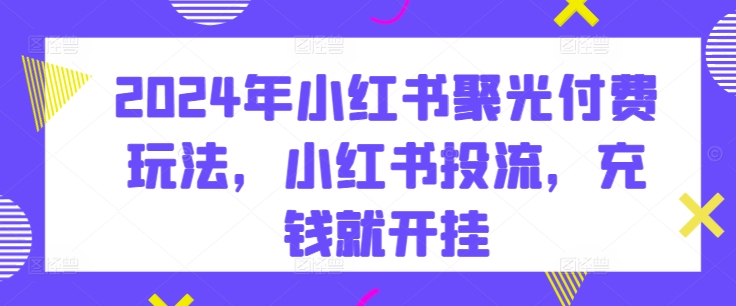 2024年小红书聚光付费玩法，小红书投流，充钱就开挂-大齐资源站