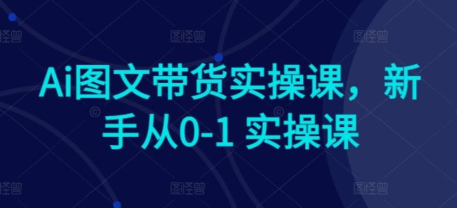 Ai图文带货实操课，新手从0-1 实操课-大齐资源站