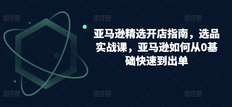 亚马逊精选开店指南，选品实战课，亚马逊如何从0基础快速到出单-大齐资源站