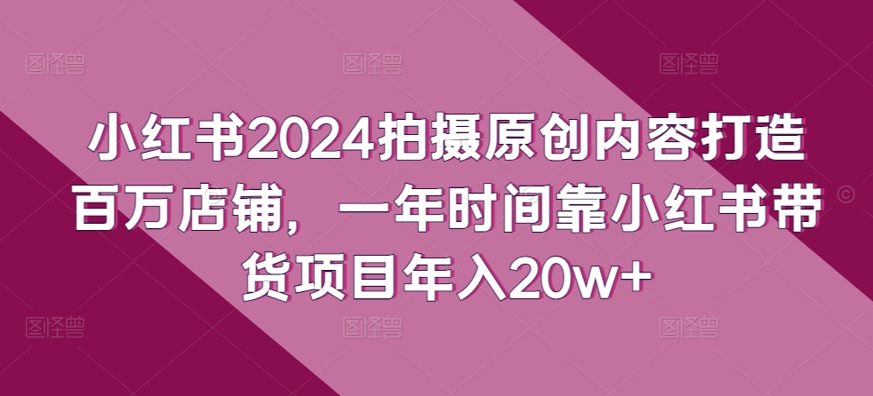 小红书2024拍摄原创内容打造百万店铺，一年时间靠小红书带货项目年入20w+-大齐资源站