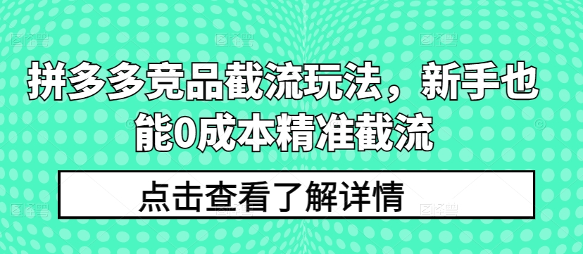 拼多多竞品截流玩法，新手也能0成本精准截流-大齐资源站