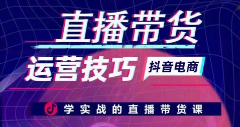 直播带货运营技巧，学实战的直播带货课-大齐资源站