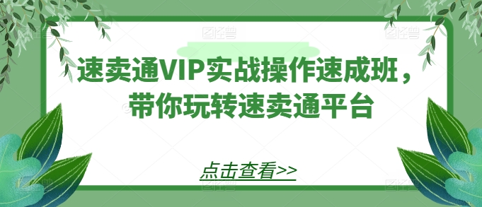 速卖通VIP实战操作速成班，带你玩转速卖通平台-大齐资源站