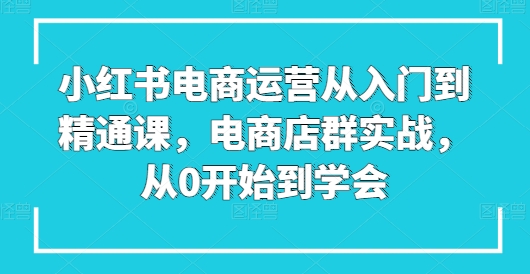 小红书电商运营从入门到精通课，电商店群实战，从0开始到学会-大齐资源站