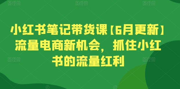 小红书笔记带货课【6月更新】流量电商新机会，抓住小红书的流量红利-大齐资源站