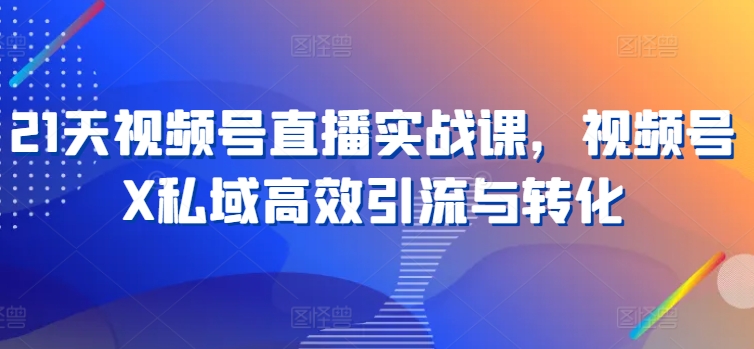 21天视频号直播实战课，视频号X私域高效引流与转化-大齐资源站