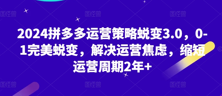 2024拼多多运营策略蜕变3.0，0-1完美蜕变，解决运营焦虑，缩短运营周期2年+-大齐资源站