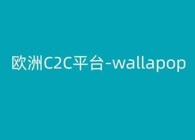 欧洲C2C平台-wallapop-kim跨境电商教程-大齐资源站