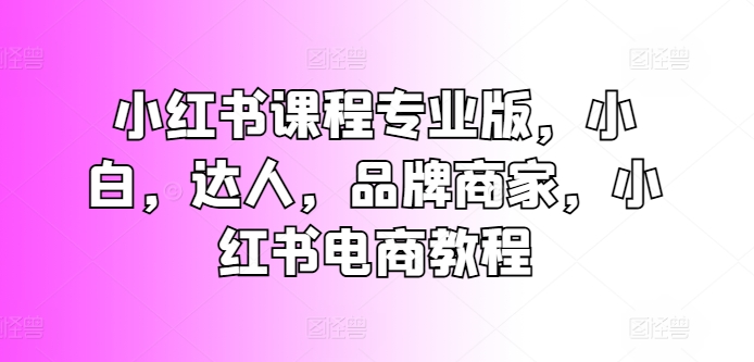 小红书课程专业版，小白，达人，品牌商家，小红书电商教程-大齐资源站