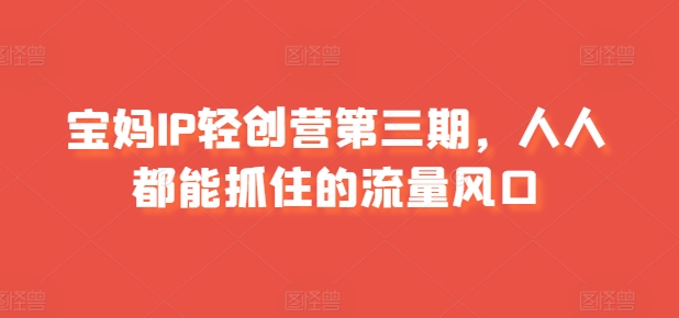 宝妈IP轻创营第三期，人人都能抓住的流量风口-大齐资源站