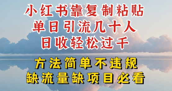 小红书靠复制粘贴单日引流几十人目收轻松过千，方法简单不违规【揭秘】-大齐资源站