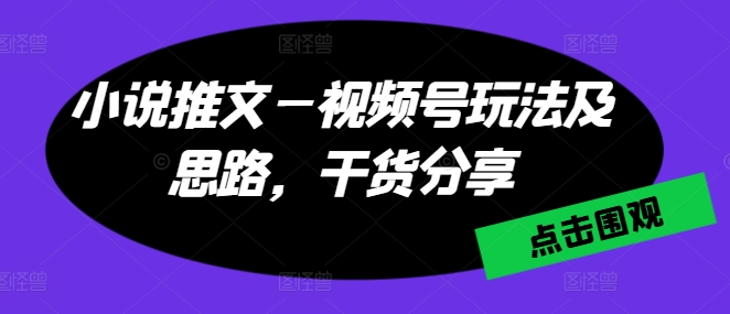 小说推文—视频号玩法及思路，干货分享-大齐资源站