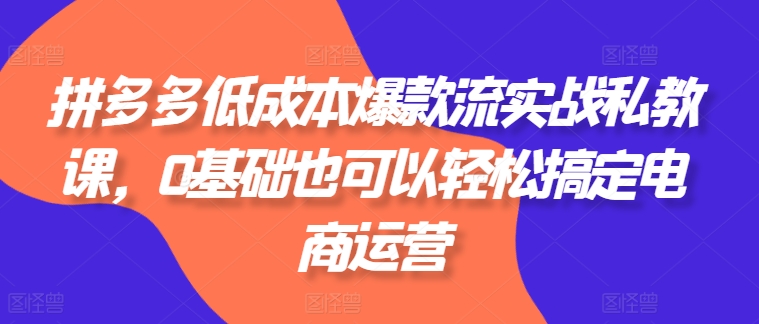 拼多多低成本爆款流实战私教课，0基础也可以轻松搞定电商运营-大齐资源站