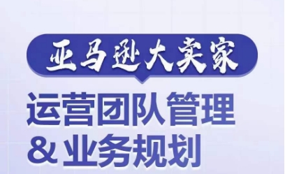 亚马逊大卖家-运营团队管理&业务规划，为你揭秘如何打造超强实力的运营团队-大齐资源站