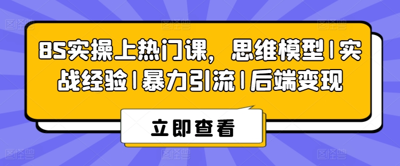 8S实操上热门课，思维模型|实战经验|暴力引流|后端变现-大齐资源站