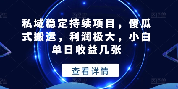 私域稳定持续项目，傻瓜式搬运，利润极大，小白单日收益几张【揭秘】-大齐资源站