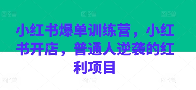 小红书爆单训练营，小红书开店，普通人逆袭的红利项目-大齐资源站