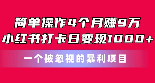 简单操作4个月赚9w，小红书打卡日变现1k，一个被忽视的暴力项目【揭秘】-大齐资源站