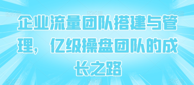 企业流量团队搭建与管理，亿级操盘团队的成长之路-大齐资源站