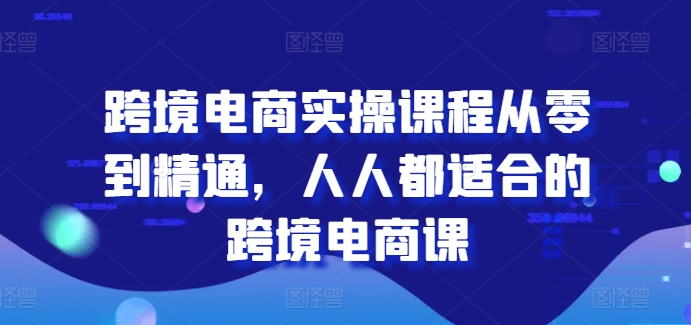 跨境电商实操课程从零到精通，人人都适合的跨境电商课-大齐资源站