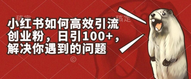 小红书如何高效引流创业粉，日引100+，解决你遇到的问题【揭秘】-大齐资源站