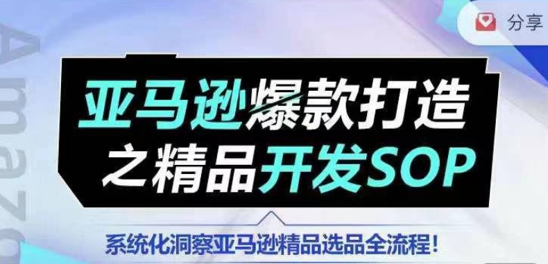 【训练营】亚马逊爆款打造之精品开发SOP，系统化洞察亚马逊精品选品全流程-大齐资源站