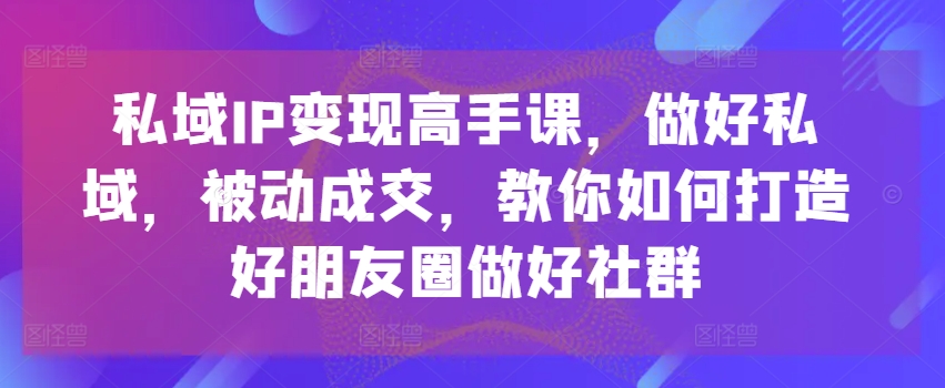 私域IP变现高手课，做好私域，被动成交，教你如何打造好朋友圈做好社群-大齐资源站