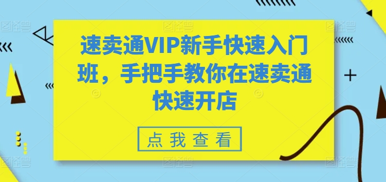 速卖通VIP新手快速入门班，手把手教你在速卖通快速开店-大齐资源站