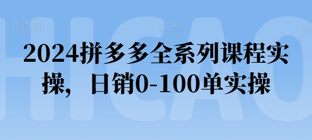 2024拼多多全系列课程实操，日销0-100单实操【必看】-大齐资源站