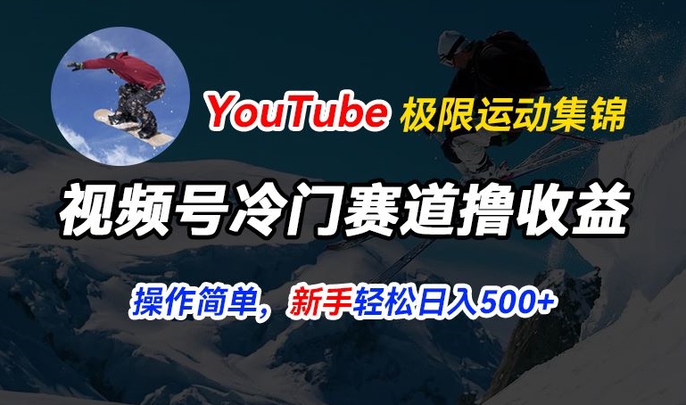 视频号冷门赛道撸收益，YouTube搬运极限运动集锦，暴力起号，操作简单流量高，轻松日入5张【揭秘】-大齐资源站