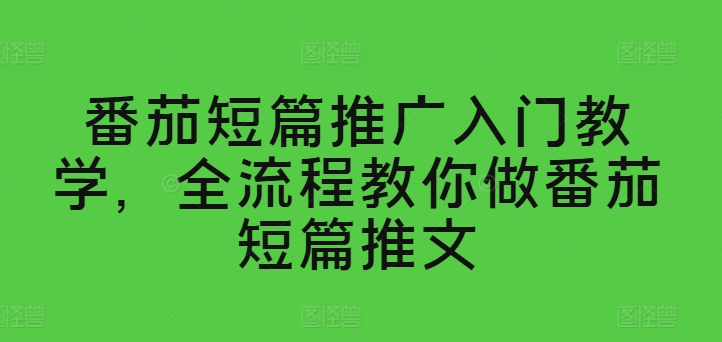 番茄短篇推广入门教学，全流程教你做番茄短篇推文-大齐资源站