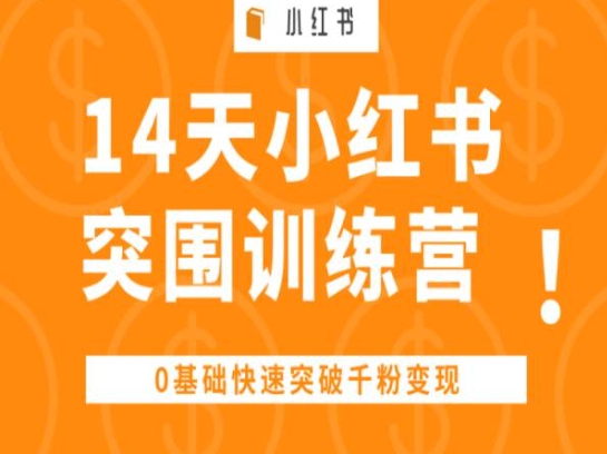 14天小红书突围训练营 ，0基础快速突破千粉变现-大齐资源站