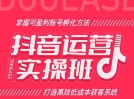 抖音运营实操班，掌握可盈利账号孵化方法，打造高效低成本获客系统-大齐资源站