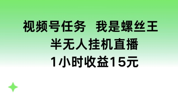 视频号任务，我是螺丝王， 半无人挂机1小时收益15元【揭秘】-大齐资源站