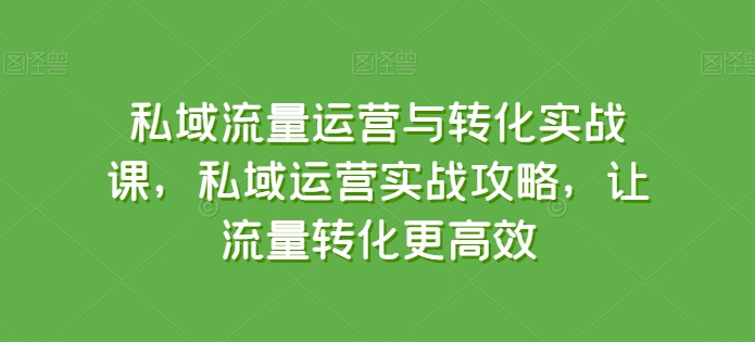 私域流量运营与转化实战课，私域运营实战攻略，让流量转化更高效-大齐资源站