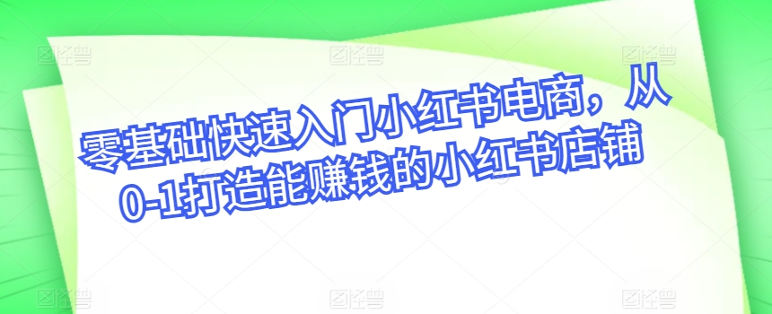 零基础快速入门小红书电商，从0-1打造能赚钱的小红书店铺-大齐资源站