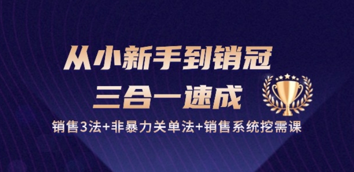 从小新手到销冠 三合一速成：销售3法+非暴力关单法+销售系统挖需课 (27节)-大齐资源站