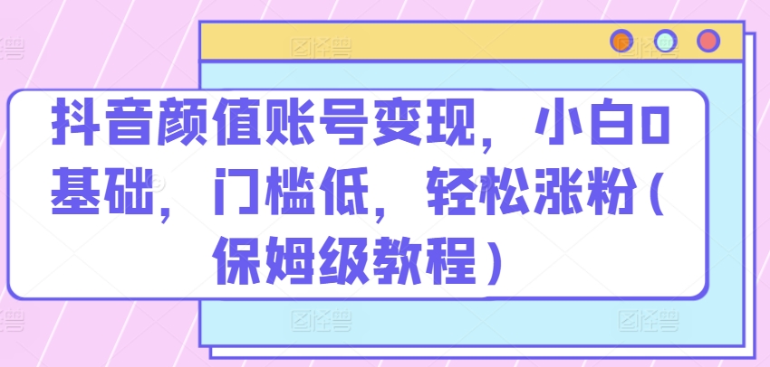 抖音颜值账号变现，小白0基础，门槛低，​轻松涨粉(保姆级教程)【揭秘】-大齐资源站